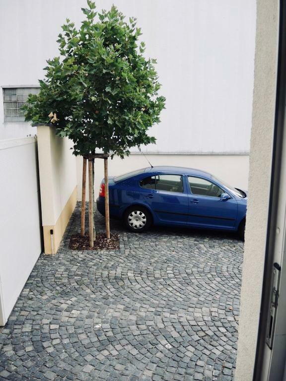 Modernes Apartment - Neustadt/Weinstrasse Stadt Neustadt an der Weinstraße 외부 사진