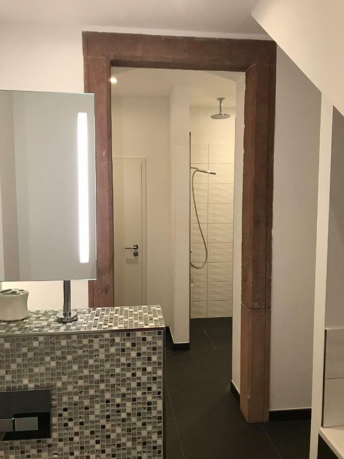 Modernes Apartment - Neustadt/Weinstrasse Stadt Neustadt an der Weinstraße 외부 사진
